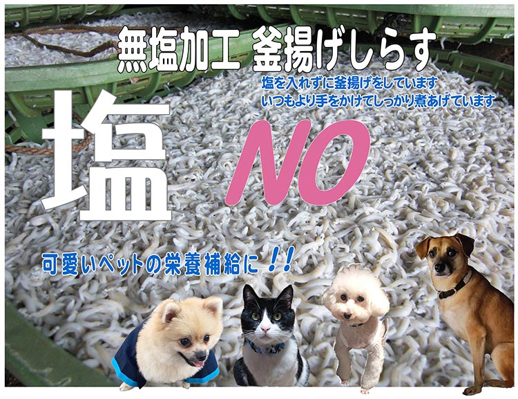 無塩加工 釜揚げしらす 約400g【紙箱】 和歌山県美浜町産