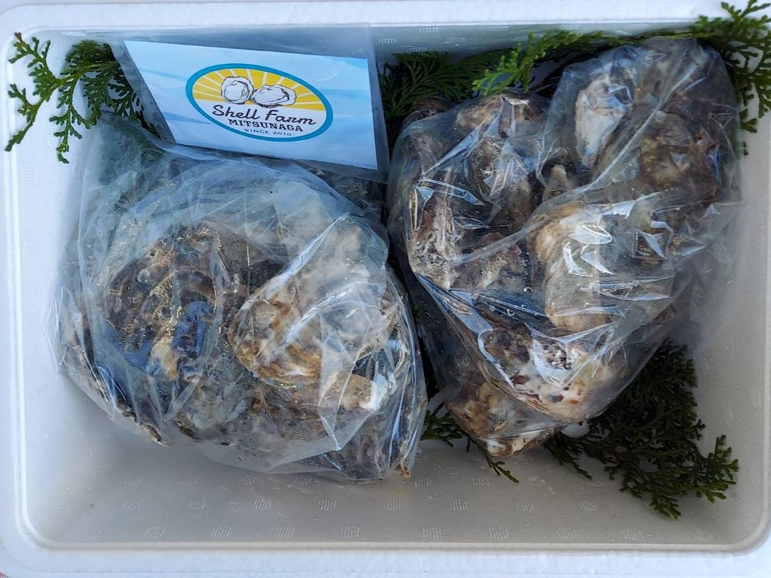 （冷蔵） 訳あり牡蠣 1.8kg ワケアリコース 加熱用 濃厚 新鮮 シェルファームみつなが セル牡蠣 真牡蠣 生牡蠣 生カキ まがき カキ 鍋 牡蠣鍋 カキフライ 殻付き BBQ わけあり 訳アリ 