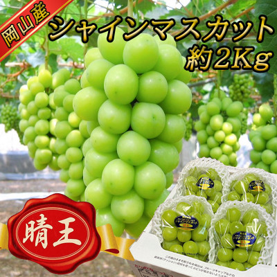 【2027年発送】岡山名産【晴王】シャインマスカット2kg!8月下旬以降順次発送_ シャインマスカット ぶどう 葡萄 ブドウ 果物 くだもの 訳なし マスカット 晴王 フルーツ 人気 岡山県 津山市 産直 産地直送 ギフト 送料無料 【1365277】