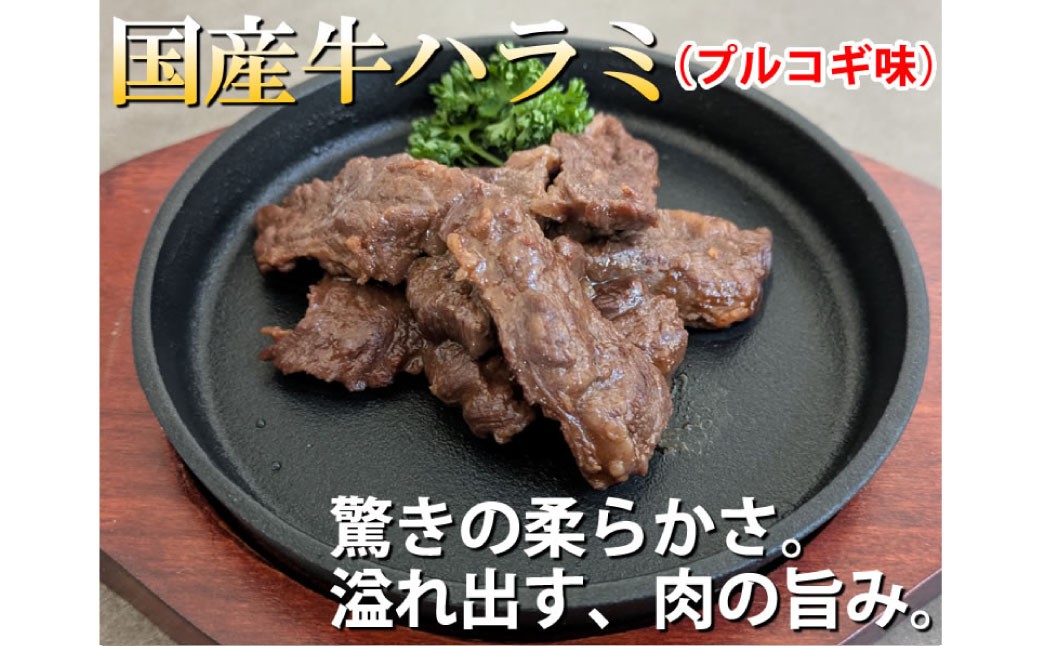 国産牛ハラミ 計700g（350g×2パック）