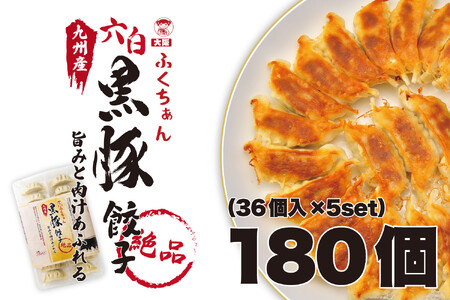 【大阪名物】大阪ふくちぁん黒豚餃子 冷凍生餃子 180個 ［36個入×5セット］