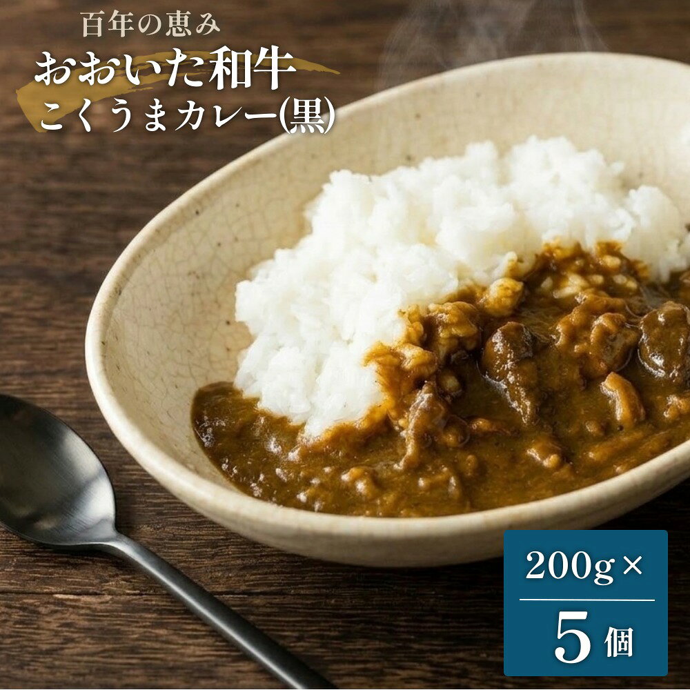 【ふるさと納税】百年の恵み おおいた和牛こくうまカレー(黒) 5個セット