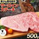 【ふるさと納税】熊野牛 紀の川天空和牛 サーロインステーキ約500g(約100g × 5枚) 有限会社松牛 《30日以内に出荷予定(土日祝除く)》サーロインステーキ 黒毛和牛 牛 牛肉 牛肉ステーキ ステーキ