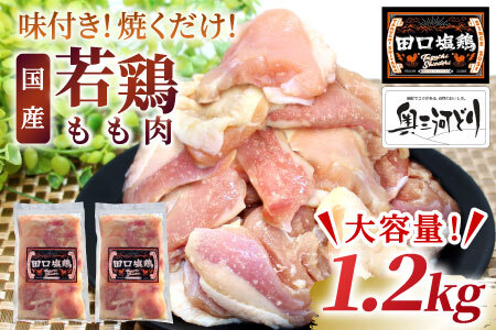 奥三河どり使用！ 田口塩鶏 味付け もも肉 1.2kg 塩ダレ 味付け肉 鶏肉 鶏 肉 キャンプ バーベキュー 味付け肉 大容量 手軽 焼くだけ 地鶏 焼肉 焼き鳥 -176
