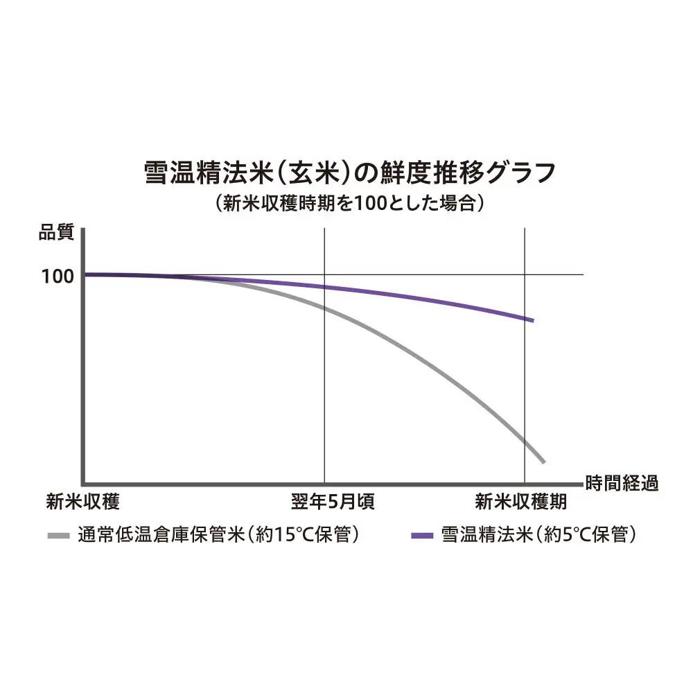 【頒布会】雪温精法　新潟県産こしひかり　5Kg　全12回