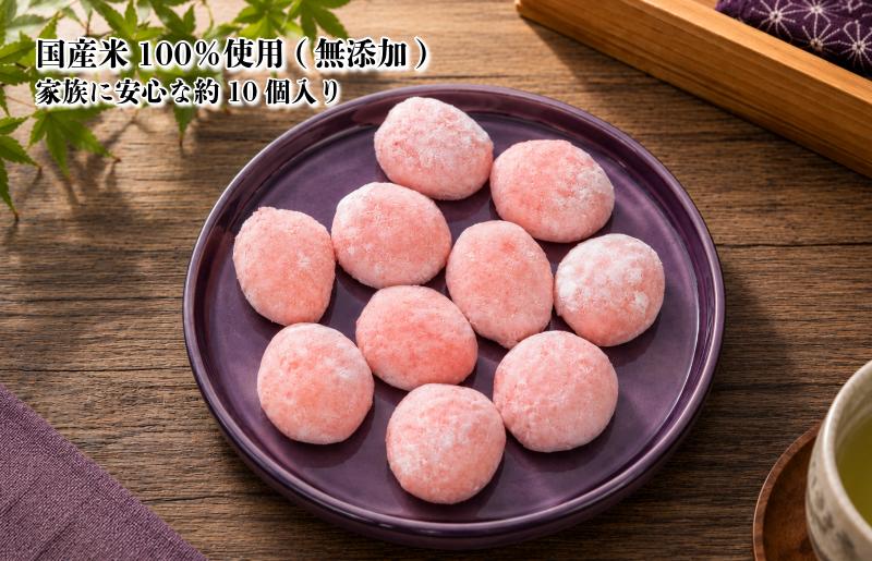 【無添加】老舗職人の杵つき生丸餅（エビ）約500g 【小分け 50g×10個 解凍するだけで“つきたて”の粘りと香り 大阪 泉佐野 大阪府 泉佐野市】