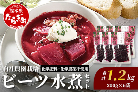 自社農園栽培 ビーツ 水煮 1.2kg(200g×6袋) 熊本県 産 国産 スーパーフード 高栄養 びーつ レトルト 野菜 根菜 美容 健康 115-0616