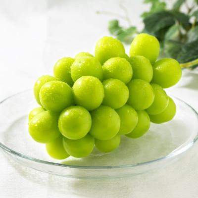 ふるさと納税 南アルプス市 【発送月固定定期便】フルーツギフト専門店が選ぶ南アルプスの厳選フルーツ定期便　全3品種全3回 |  | 03