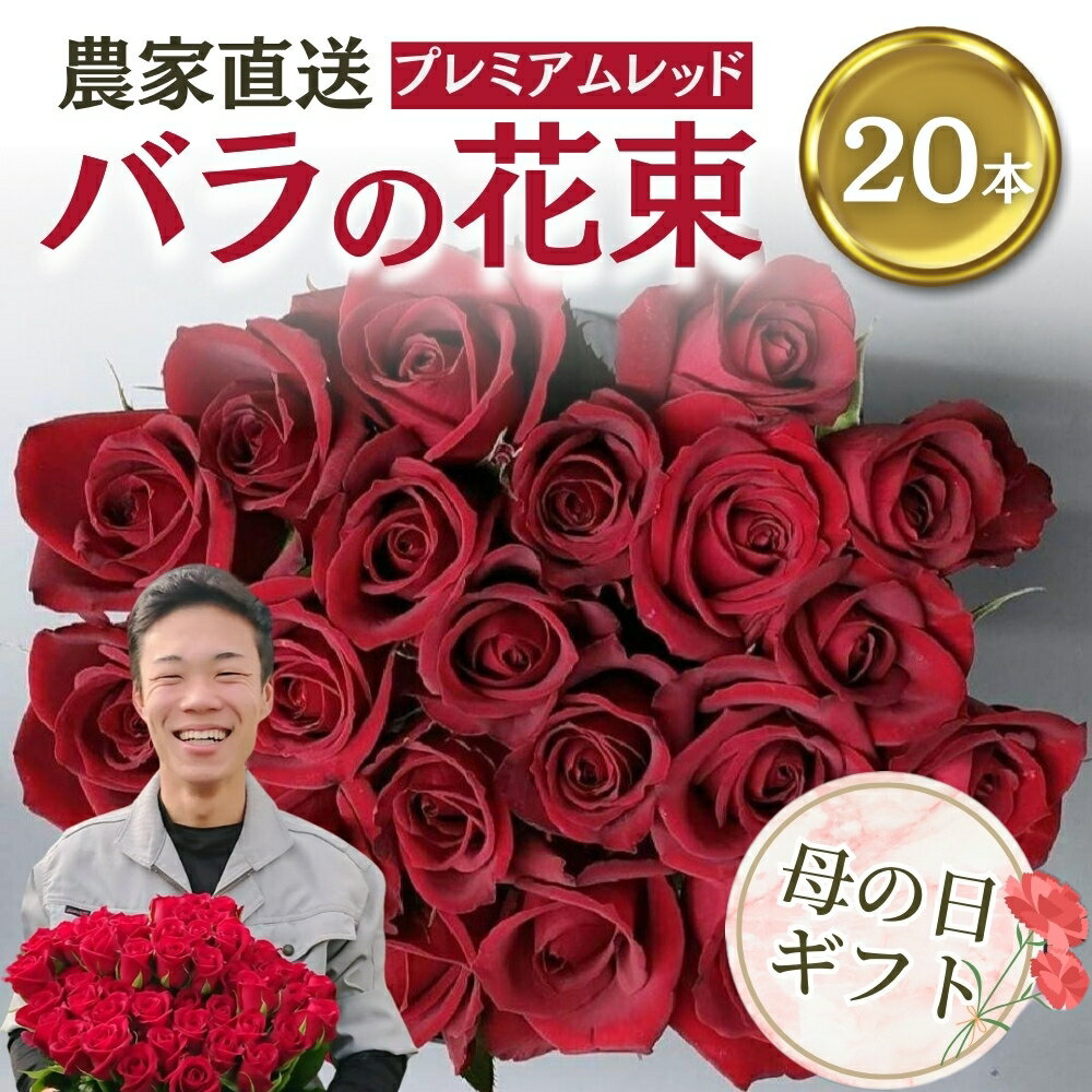 【ふるさと納税】【母の日までにお届け】バラ 花束 プレミアムレッド 20本 花 チャーミングローズ 薔薇 バラ ばら 花 ブーケ ありがとう 母 ローズ 生花 ミックス 誕生日 花瓶 に入れて フラワー 雑貨 インテリア 産地直送 人気 母の日 父の日 西山バラ園 まのばら