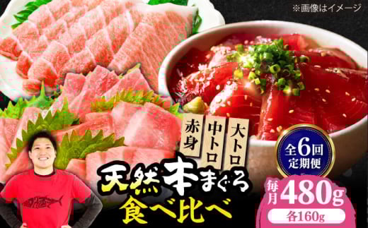 【全6回定期便】極上！たね熟天然本まぐろ赤身＆中トロ＆大トロセット(各160g 計480g) 魚介類 海鮮丼 本マグロ 本まぐろ 中トロ 大トロ 赤身 冷凍 お刺身 お寿司 大阪府高槻市/本まぐろ直売所 [AOCE044] 本マグロ 刺身 寿司 海鮮 旨み 切り身 鮮度抜群 海鮮丼 お取り寄せ 高級魚 ギフト 贈答用 海の幸 家飲み ごちそう おつまみ 炙り丼 手巻き寿司 お祝い パーティー