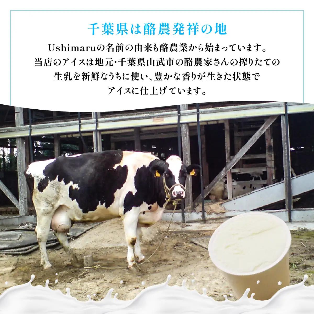 Ushimaru自家製アイス5個入（ミルク） SMBM014