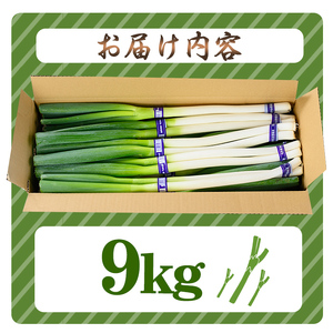 ＜先行予約受付中！11月上旬～4月下旬発送予定＞白ねぎ(9kg) ねぎ ネギ 白ネギ 長ねぎ 長ネギ 旬 根付き 土付き 煮込み 炒め 生 和洋中 万能 鍋 鍋料理 BBQ バーベキュー 天ぷら てん