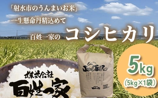 
                  【射水市】【射水の美味しいお米】百姓一家のコシヒカリ 5kg【精米】｜米 こめ コメ こしひかり 白米 ブランド米 銘柄米 人気 ランキング 富山 富山米 北陸 北陸米 富山コシヒカリ 北陸コシヒカリ 精米コシヒカリ 5キロ 5キロ米 5kg 5kg米 ※離島への配慮不可
                