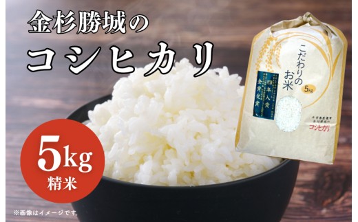 
            金杉勝城のコシヒカリ　5kg　精米
          