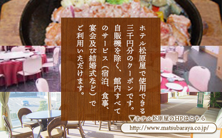 ホテル松原屋 3000円分クーポン AN0101