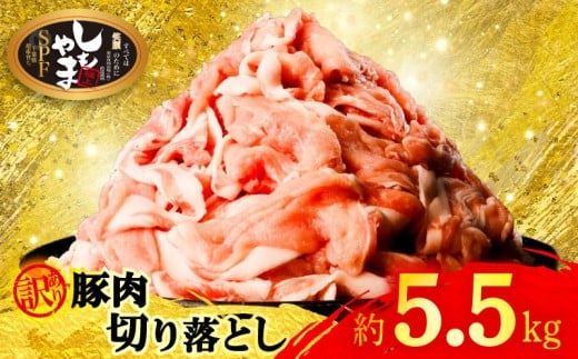 豚肉 切り落とし 約5.5kg 【訳あり】 小分け 真空パック 国産 豚 冷凍 切落し 豚肉切り落とし 豚こま肉 こま肉 こま切れ 国産豚 千葉県 旭市 有限会社下山農場 usn004