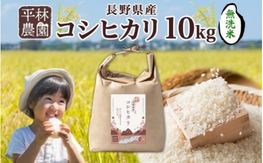 【2026年9月発送】令和8年産 コシヒカリ 無洗米 10kg×1袋 長野県産 米 白米 精米 お米 ごはん ライス 甘み 農家直送 産直 信州 人気 ギフト 時短 お取り寄せ 平林農園 送料無料 長野県 大町市