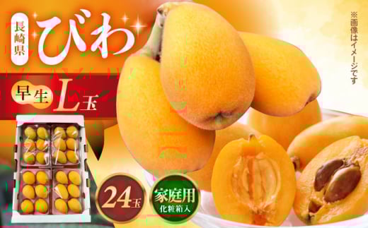 【申し込みは5/11まで】長崎県産ハウスびわ(早生)1kg L玉24玉 家庭用 長崎県/森保農園 [42AACO002] びわ ビワ 枇杷 1キロ 長崎 季節もの フルーツ 果物 先行予約 