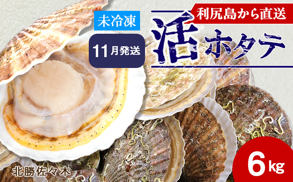 活ホタテ6kg！~2026年11月発送~北海道利尻島から直送！【北勝佐々木】