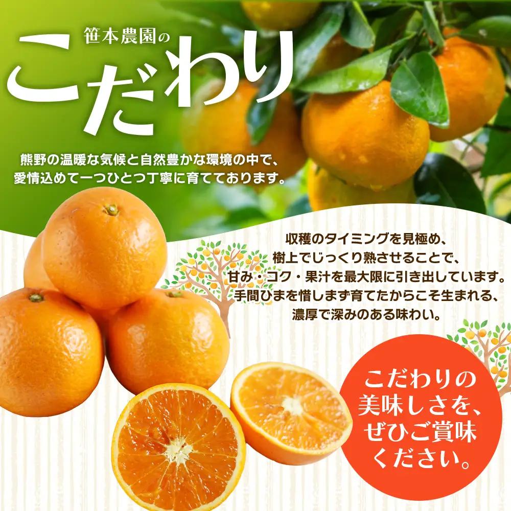 みかん 笹本農園の清見オレンジ 約5kg M～2Lサイズ混合 みかん【ssmt0003】