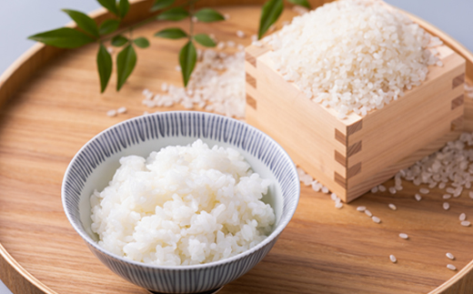 青天の霹靂(5kg×2袋) 合計10kg【1039058】