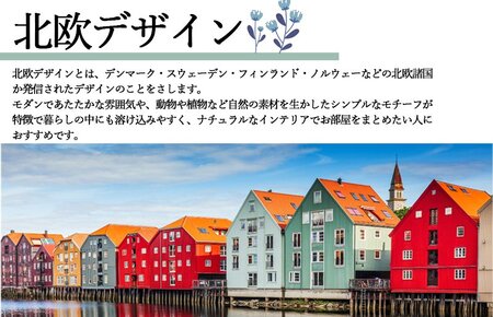 洗える羽毛布団 シングル コーラル 羽毛0.3kg 寝具