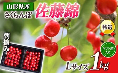 【先行受付 令和8年度発送】山形県産 朝摘みさくらんぼ 特選佐藤錦1kg ギフト箱入り FSY-0348