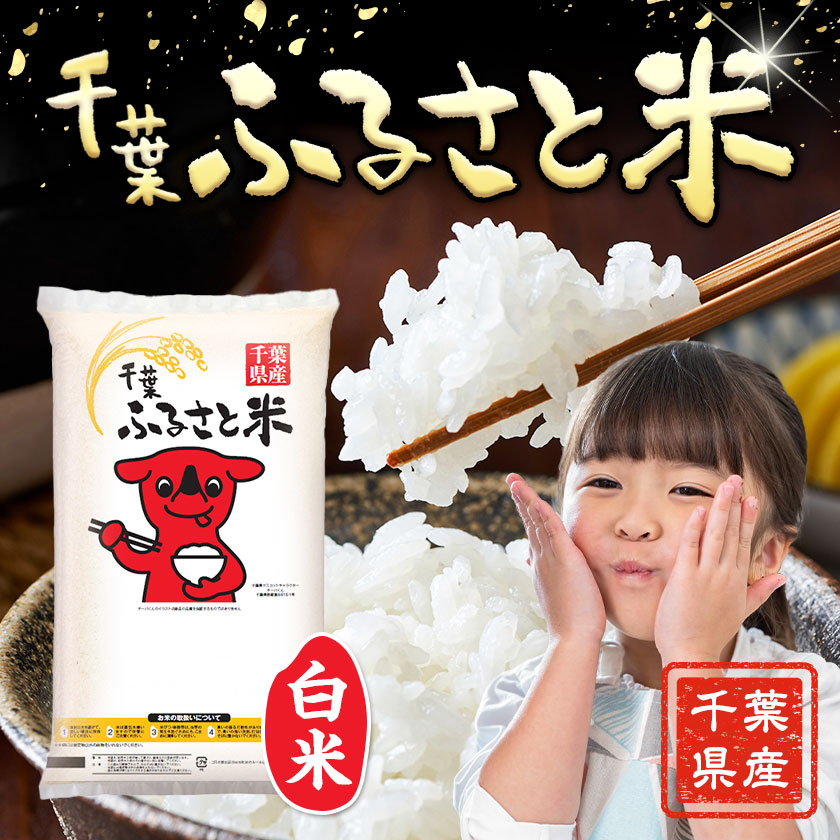 【隔月6回定期便】米 千葉ふるさと米 20kg《お申込みの翌月から出荷》ブレンド米 千葉県 勝浦市 米 白米 精米 国産 お米 おこめ お弁当 おにぎり---kastuura_lcl_420_20kg_6ktei---