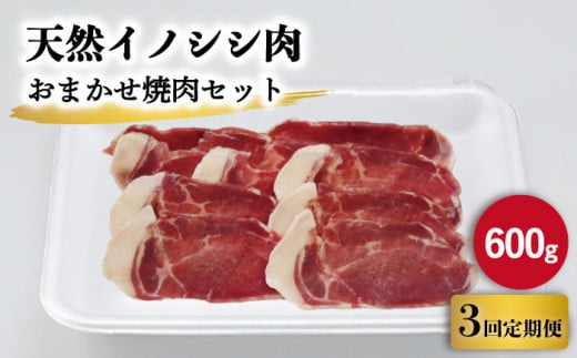 【3回定期便】ジビエ 天然イノシシ肉 おまかせ焼肉セット 600g （ロース・モモ・バラ）【照本食肉加工所】[OAJ028] / 猪 猪肉 いのしし肉 イノシシ イノシシ肉 ジビエ いのしし 長崎県猪 川棚町産猪 ぼたん鍋用いのしし 九州産イノシシ じびえ ジビエ ジビエ肉