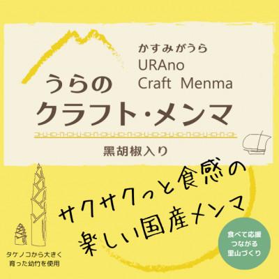 ふるさと納税 かすみがうら市 【国産メンマ】サクサクとした食感が楽しい♪かすみがうら産「うらの クラフト・メンマ」100g×2PC |  | 03