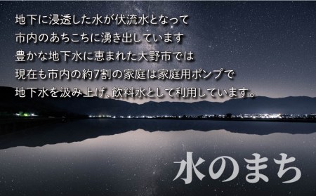 【令和5年産】【6ヶ月定期便】こしひかり 10kg×6回 計60㎏【白米】「エコファーマー米」水のまちのお米 [H-003002]