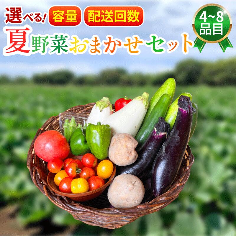 【ふるさと納税】 野菜 夏野菜 セット 4～8品 選べる 容量 選べる 配送回数 2回 4回 詰め合わせ 茄子 きゅうり ピーマン トマト ミニトマト 白茄子 オクラ 大葉 枝豆 ズッキーニ ししとう とうもろこし パプリカ じゃがいも たまねぎ にんじん 森商店 徳島県 吉野川市