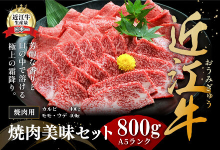 【3月末までに発送】近江牛A5ランク焼肉美味セット【800g】【DG10SM-3m】