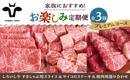 【3回定期便】しろいし牛 家族向け お楽しみ 定期便（プレミアムコース） 佐賀セントラル牧場 [IAH212]