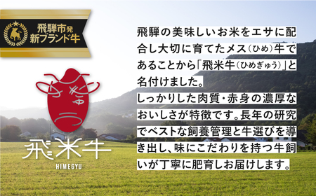 《簡易包装》うまい赤身にこだわった 牛飼いの和牛肉 ハンバーグ 180g×2個 飛米牛 生ハンバーグ 和牛100%[EN110]