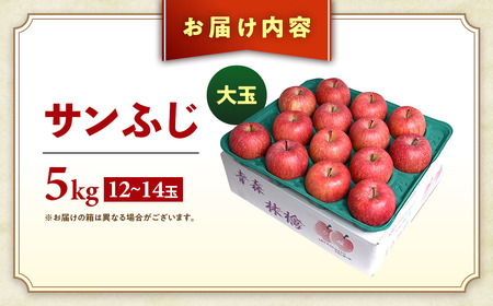 青森県産りんご 大玉 サンふじ 約5kg 12月中旬～ りんご