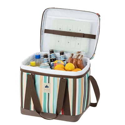 氷点下パック抗菌・デザインクーラーL　買い物やアウトドアでも使えるクーラーバッグ!　81670705【1664422】