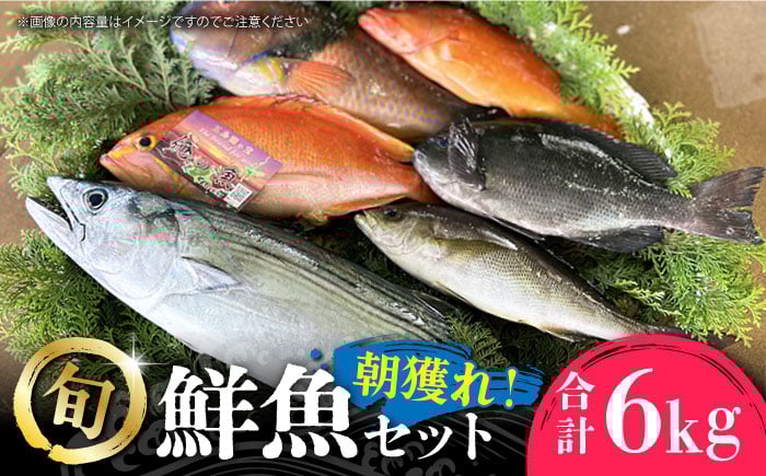 
            朝獲れ鮮魚セット6kg【五島列島直送】五島市/鯛福丸水産[PDP012]鮮魚BOX 詰め合わせ 詰合せ せんぎょ 冷蔵 刺身 魚 海鮮 直送 さかな 新鮮人気 おすすめ
          