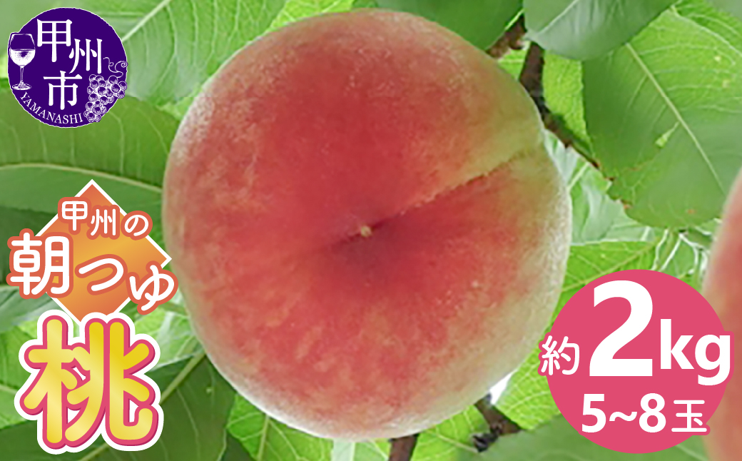 甲州の朝つゆ桃 約2.0kg（5～8玉）【2026年発送】（KKK）B-831