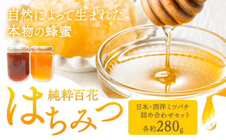 純粋百花 はちみつ 日本・西洋ミツバチ詰合せセット 有限会社ホクト 《30日以内に出荷予定(土日祝除く)》岡山県 矢掛町 はちみつ ハチミツ トースト 蜂蜜---osy_hkths_30d_24_18500_s---