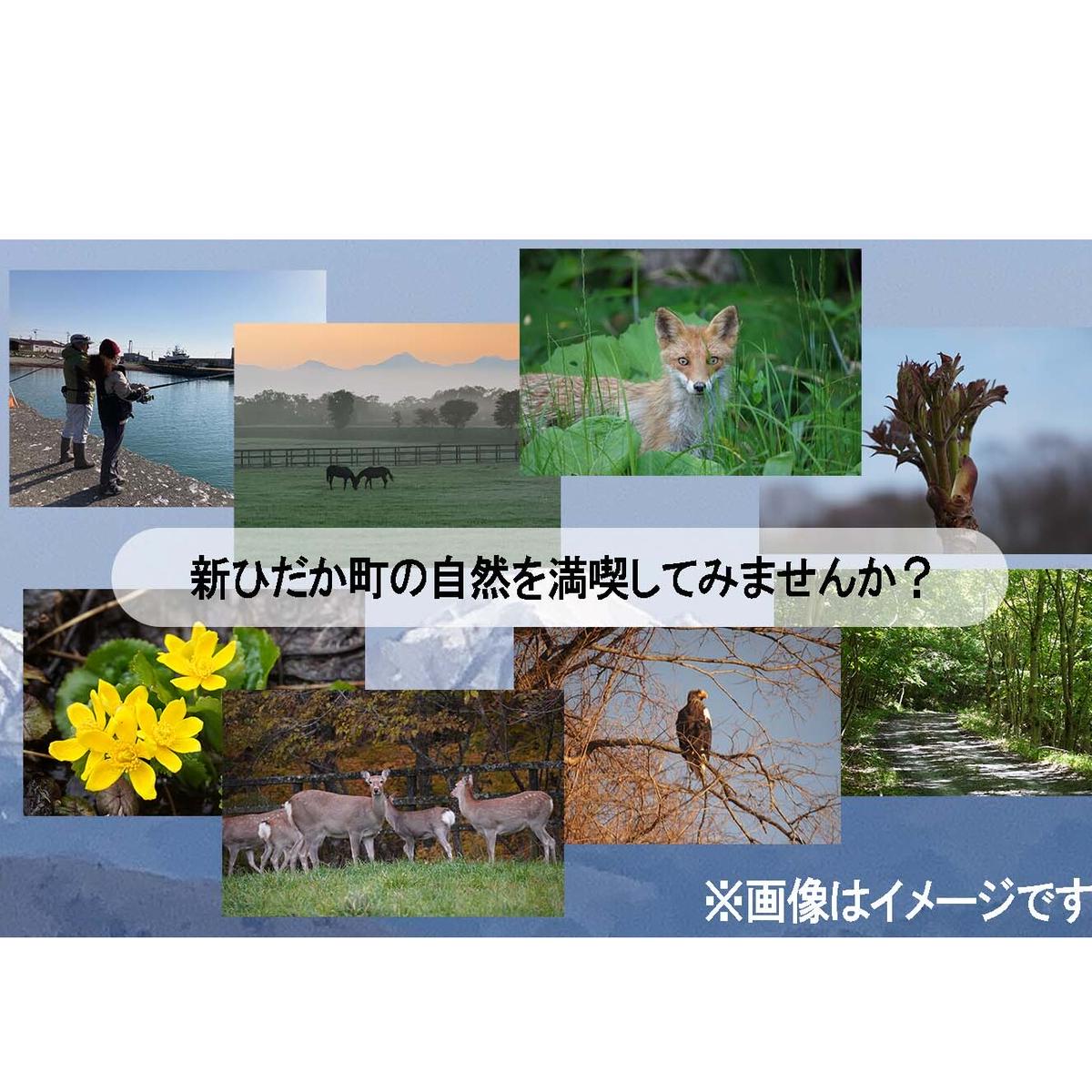 北海道 新ひだか町 体験 ツアー クーポン 5,000円分 日高 三石 釣り 星空 観賞 日高山脈 眺望ツアー 馬 サラブレッド 牧場 見学_イメージ4