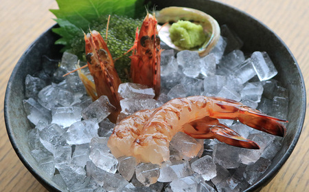 活き〆急速冷凍車えび【Lサイズ】　500g×1パック お刺身 塩焼き 天ぷら フライ 急速冷凍 エビ 鮮度 おせち 養殖 瞬間冷凍 甲殻類 海産物 うまみ くるまえび 海老 海鮮 送料無料