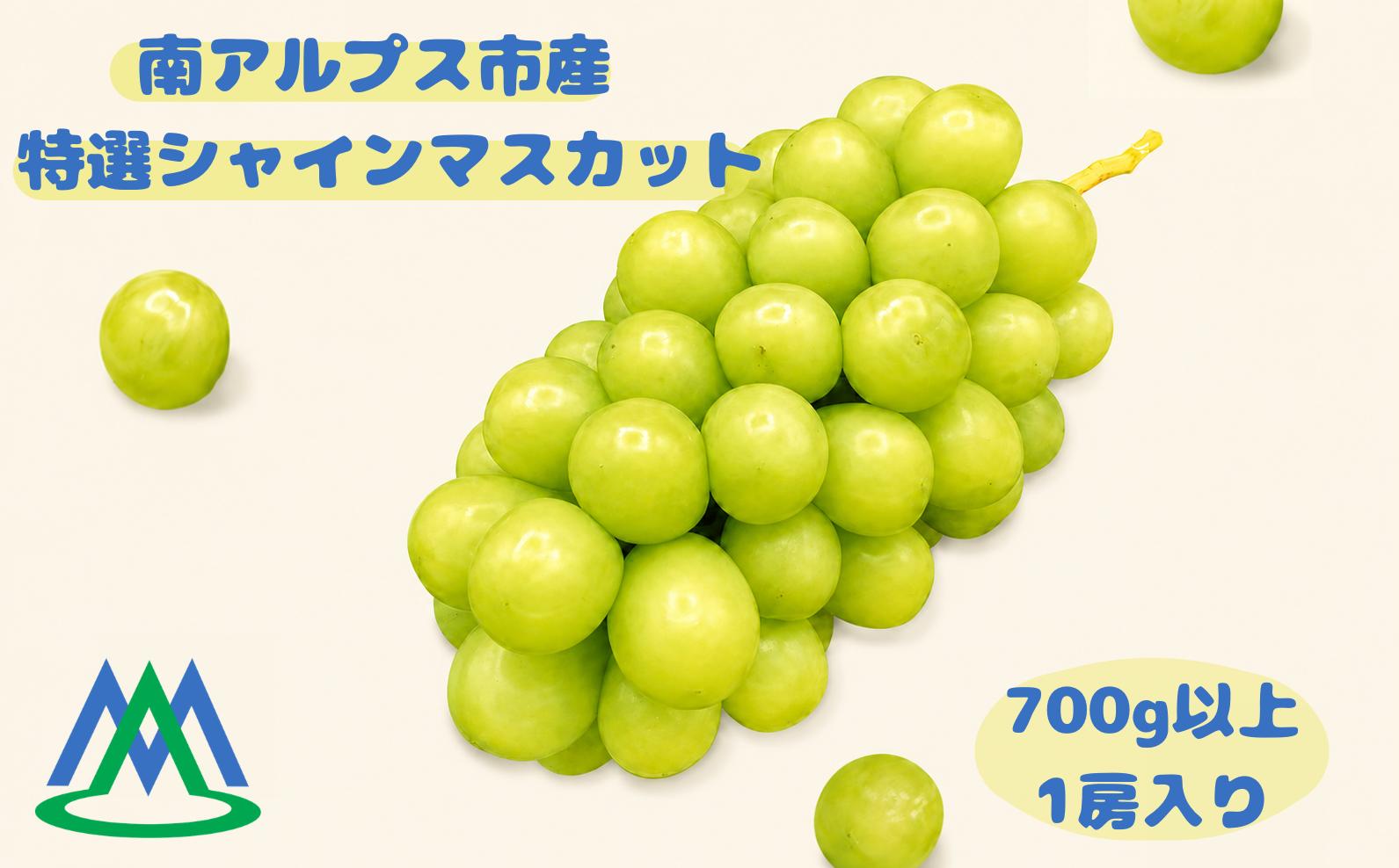 
                  南アルプス市産 特選シャインマスカット 700g以上　1房入り ALPGB008
                