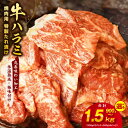 【ふるさと納税】【丸善特製ダレ】牛肉 ハラミ / 900g（300g×3） / 1.2kg（300g×4） / 1.5kg（300g×5） 【氷温熟成×極味付け】 氷温熟成牛 熟成肉 作り方 ふるさと納税オリジナル 限定 大阪府 泉佐野市 送料無料 肉の泉佐野