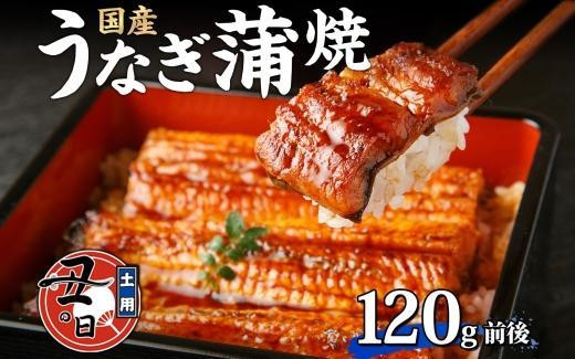 
名古屋 うなぎのしら河 国産 鰻 蒲焼き 120g前後×1尾 タレ 山椒付 うなぎ ウナギ かばやき 鰻丼 うな重 鰻重 お中元 お歳暮 ギフト 送料無料 愛知県 名古屋市
