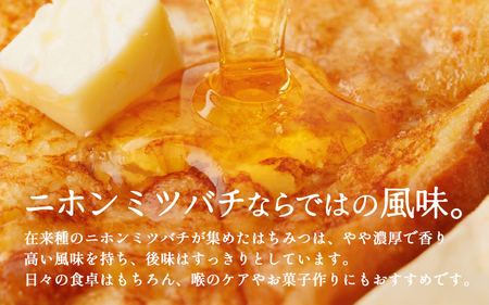 ニホンミツバチのはちみつ 300g×2本 | 蜂蜜 はちみつ ハチミツ 百花蜜