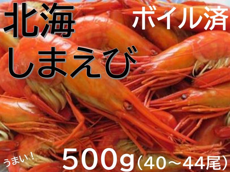 
            新物 北海縞海老 シマエビ 北海縞えび  国産 500g 40～44尾 Sサイズ しまえび 冷凍 えび エビ ボイル済み  
          