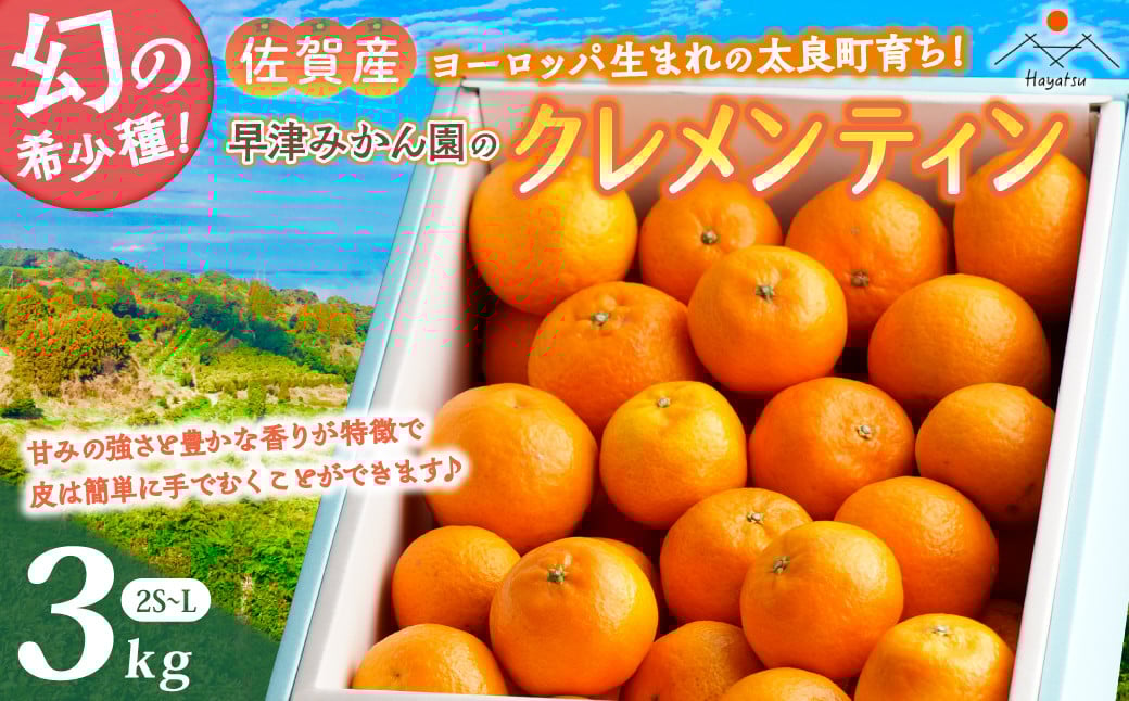 
            L-29 早津みかん園のクレメンティン ３ｋｇ クレメンティン ヨーロッパ生まれ 太良みかん みかん ミカン 蜜柑 フルーツ くだもの 果物 太良町 国産
          