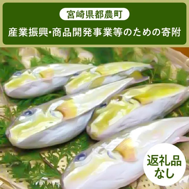≪返礼品なし≫宮崎県都農町の産業振興・商品開発事業等のための寄附【1口 6,000円】T000-005-06
