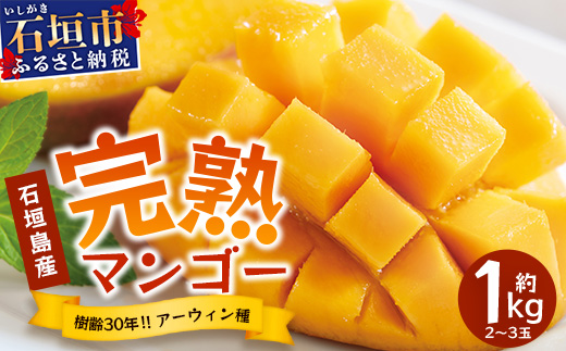 2026年発送分【先行予約】石垣島産《樹齢30年》マンゴー (アーウィン種) 約1kg(2～3玉)《2026年7月以降より順次発送》TP-1